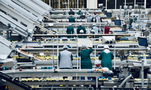 食品廠智能照明解決方案_工業(yè)領域_【華普照明】